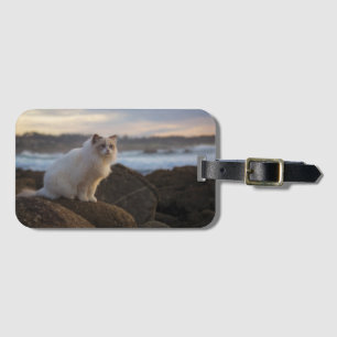 Ragdoll Cat At The Beach Luggage Tag