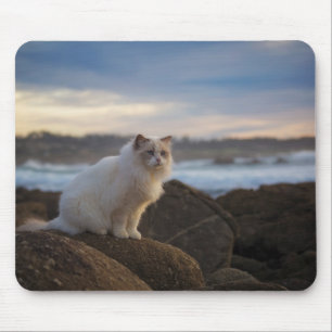 Ragdoll Cat At The Beach Mouse Mat