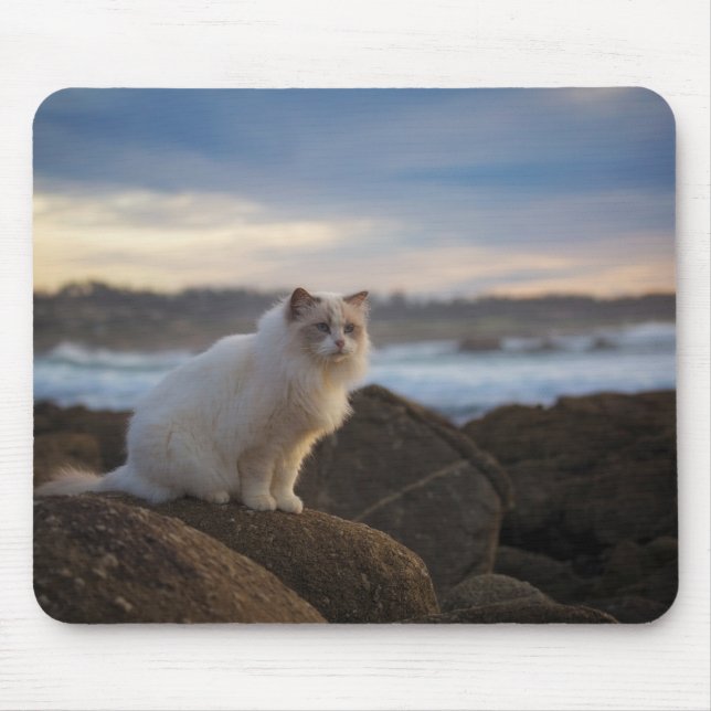 Ragdoll Cat At The Beach Mouse Mat (Front)