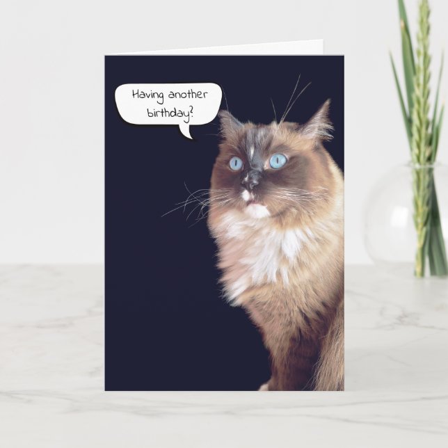 Ragdoll Cat Birthday Humour Card (Front)