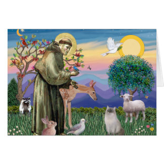 Ragdoll Cat (Blue Point) and Saint Francis