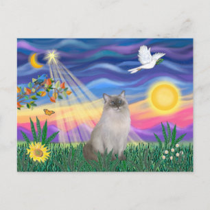 Ragdoll Cat (Blue Point) Postcard