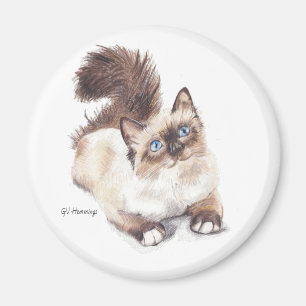 Ragdoll cat by Artist GV Hemmings Magnet