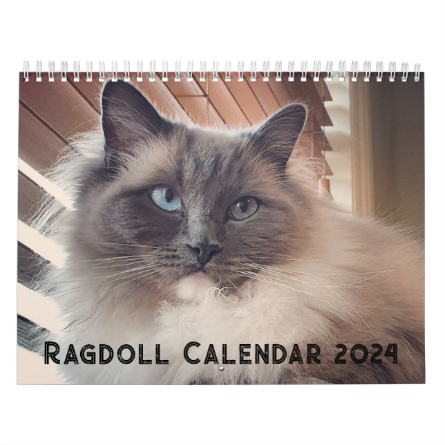 Ragdoll Cat Calendar (Cover)