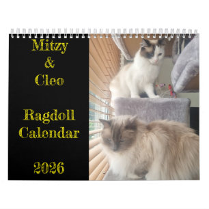 Ragdoll Cat Calendar