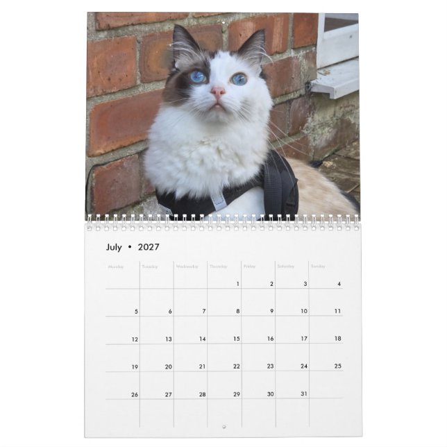 Ragdoll Cat Calendar (Jul 2027)