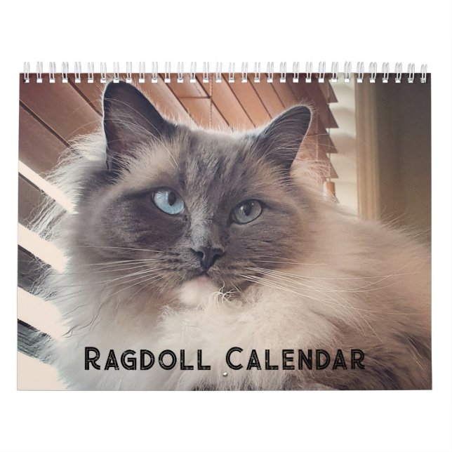Ragdoll Cat Calendar (Cover)