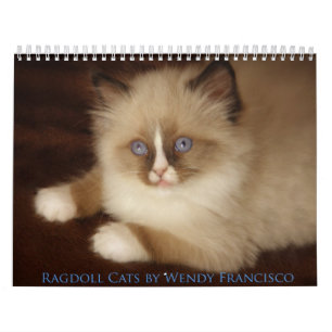 Ragdoll Cat Calendar
