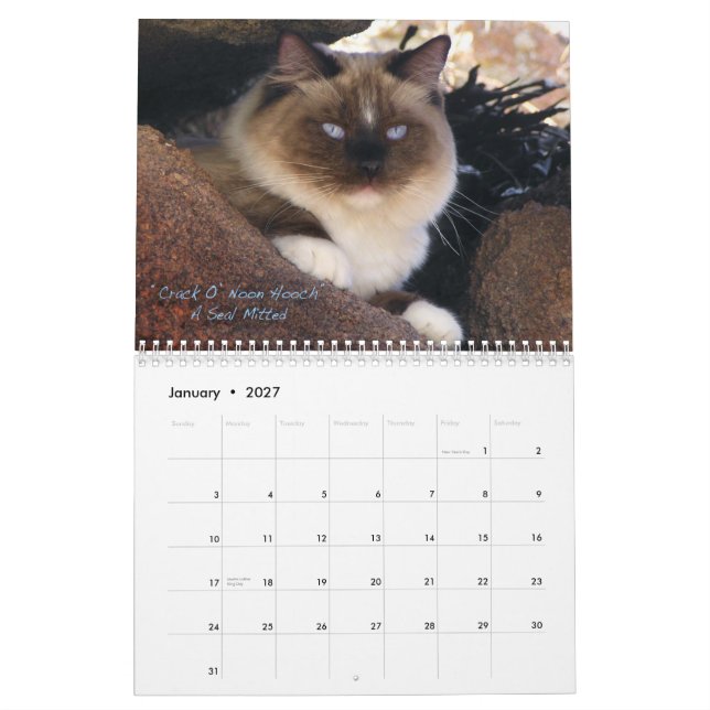 Ragdoll Cat Calendar (Jan 2027)