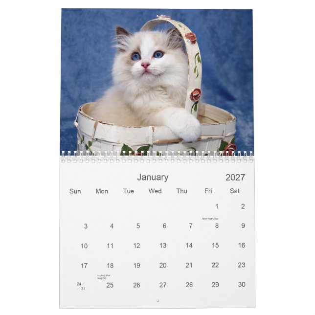 Ragdoll Cat Calendar (Jan 2027)