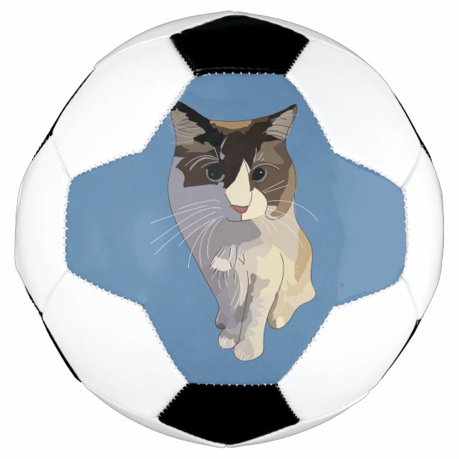 Ragdoll cat, Dusty Blue Football (Front)