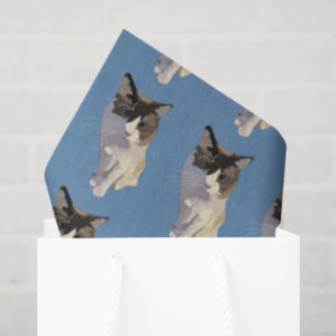 Ragdoll cat, Dusty Blue Tissue Paper