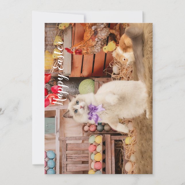 Ragdoll Cat Easter Greeting Card (Front)