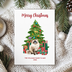 Ragdoll Cat Family Christmas  Holiday Card