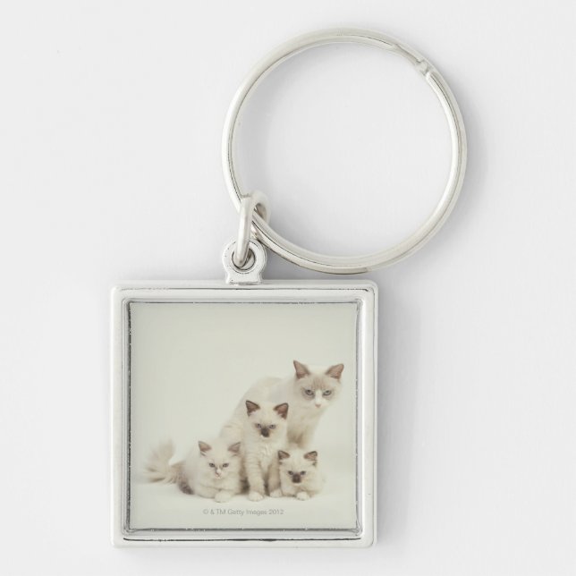 Ragdoll cat female with kittens key ring (Front)