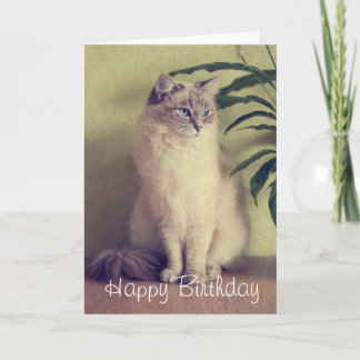 Ragdoll Cat Greeting Card