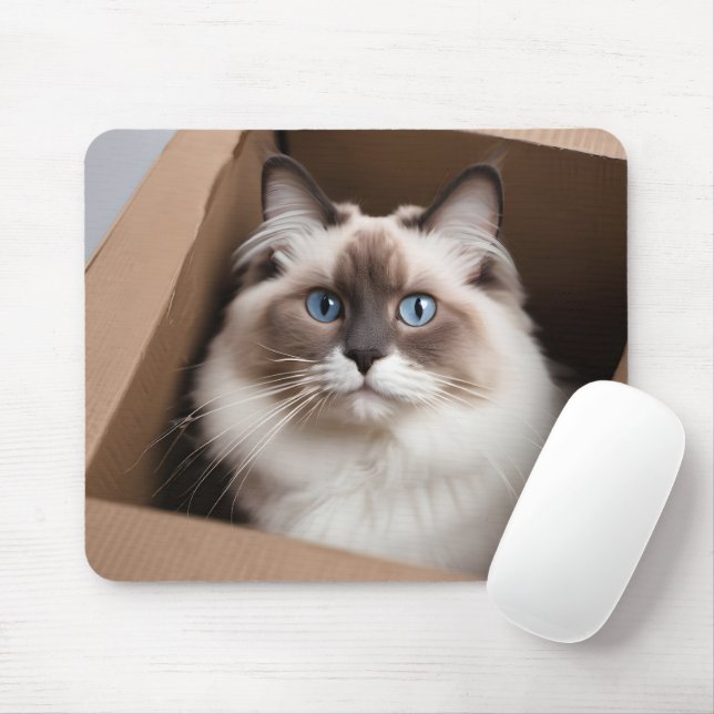 Ragdoll Cat in Cardboard Box Mouse Mat (With Mouse)