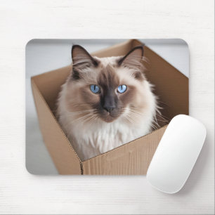 Ragdoll Cat In Cardboard Box Mouse Mat