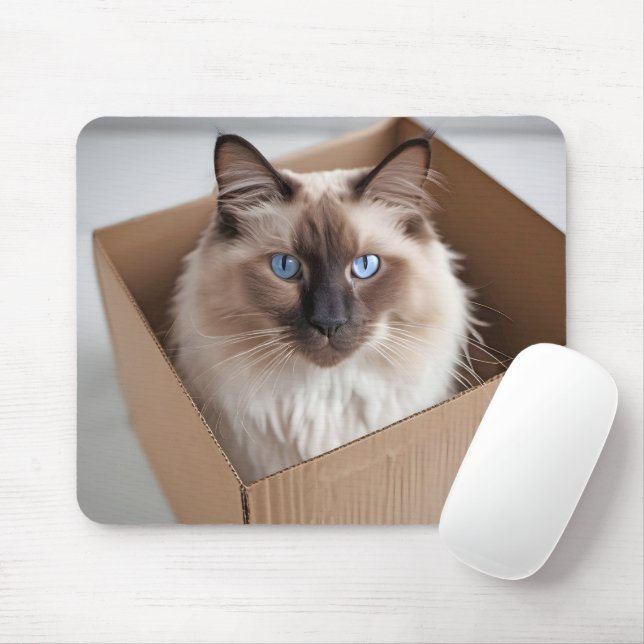 Ragdoll Cat In Cardboard Box Mouse Mat (With Mouse)