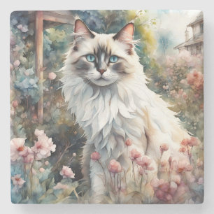 Ragdoll Cat in English Garden Stone Coaster