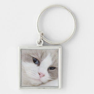 Ragdoll cat key ring