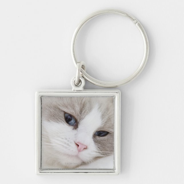 Ragdoll cat key ring (Front)