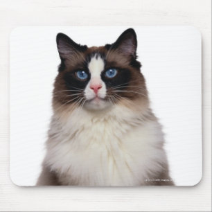Ragdoll Cat Mouse Mat
