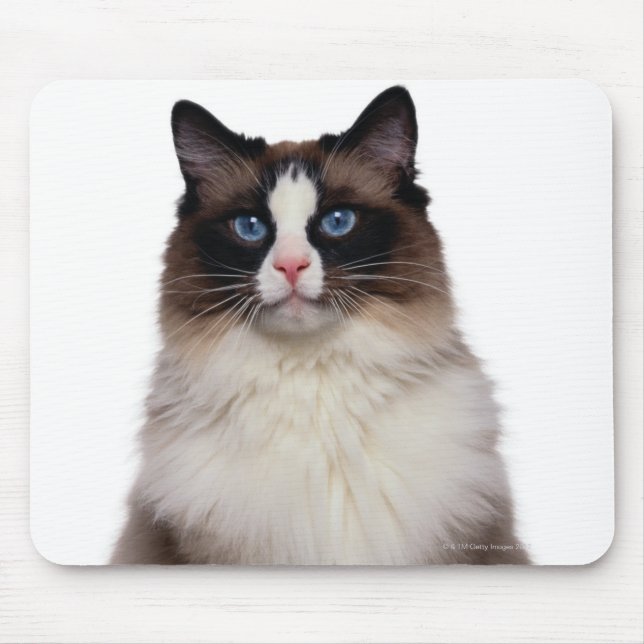 Ragdoll Cat Mouse Mat (Front)