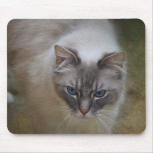 Ragdoll Cat Mousemat