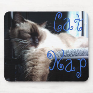 Ragdoll Cat Napping Mouse Mat