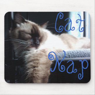 Ragdoll Cat Napping Mouse Mat