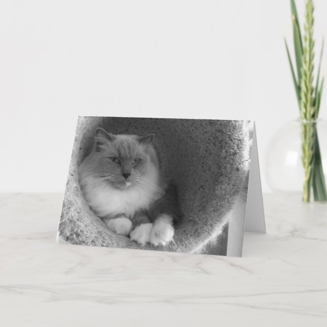 Ragdoll Cat - noir, Card (Front)