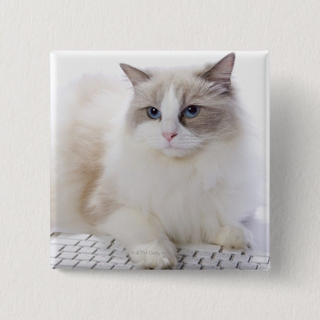 Ragdoll Cat on Keyboard 15 Cm Square Badge (Front)