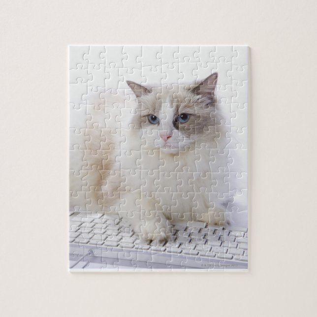 Ragdoll Cat on Keyboard Jigsaw Puzzle (Vertical)