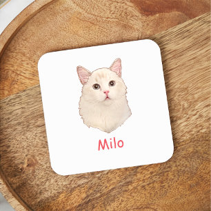 Ragdoll Cat Personalised Hand Drawing Square Paper Coaster
