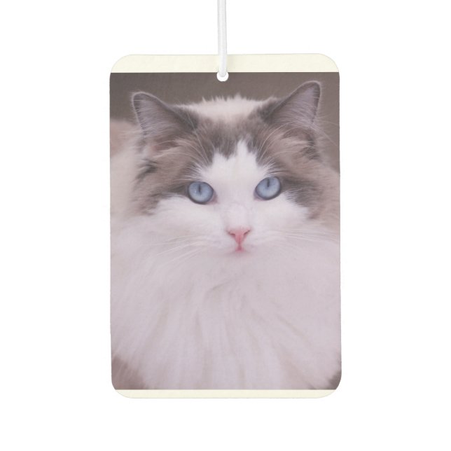 Ragdoll Cat Personalised Photo Air Freshener (Front)