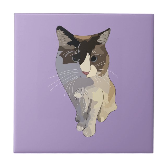Ragdoll cat, Purple Tile (Front)