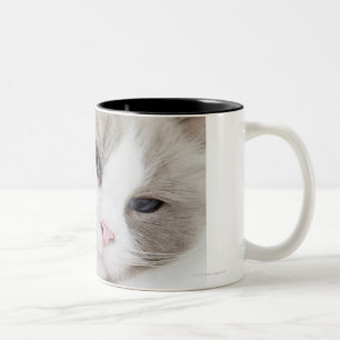Ragdoll cat Two-Tone coffee mug