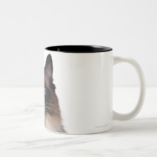 Ragdoll Cat Two-Tone Coffee Mug