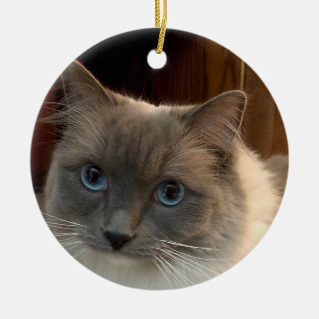 Ragdoll Cat with Blue Eyes can be personalized  Ceramic Tree Decoration (Front)