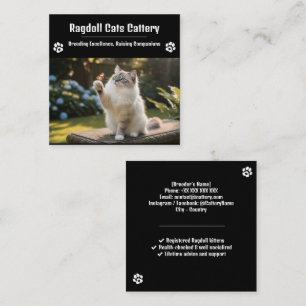 Ragdoll Cattery Business Card   Custom Cat Breeder
