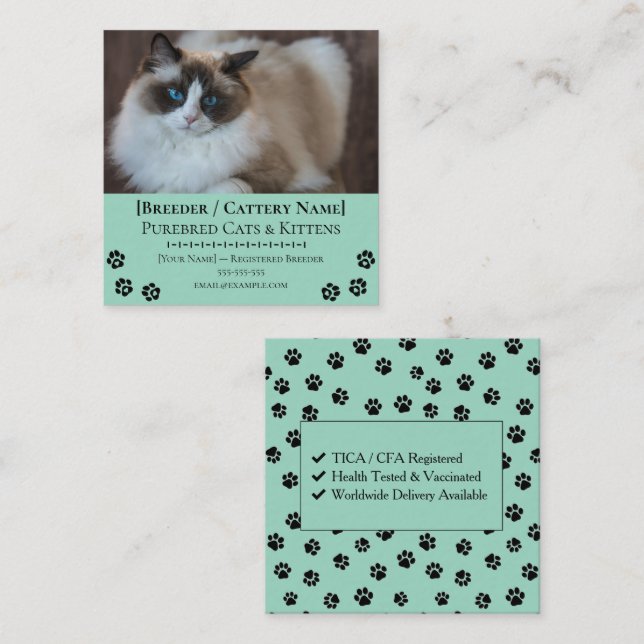 Ragdoll Cattery Customisable Cat Breeder  Square Business Card (Front/Back)