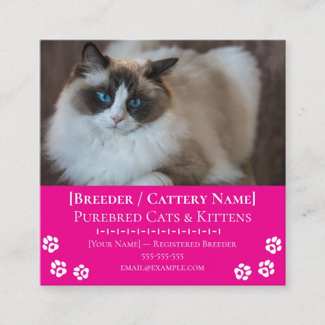 Ragdoll Cattery Customisable Cat Breeder  Square Business Card (Front)
