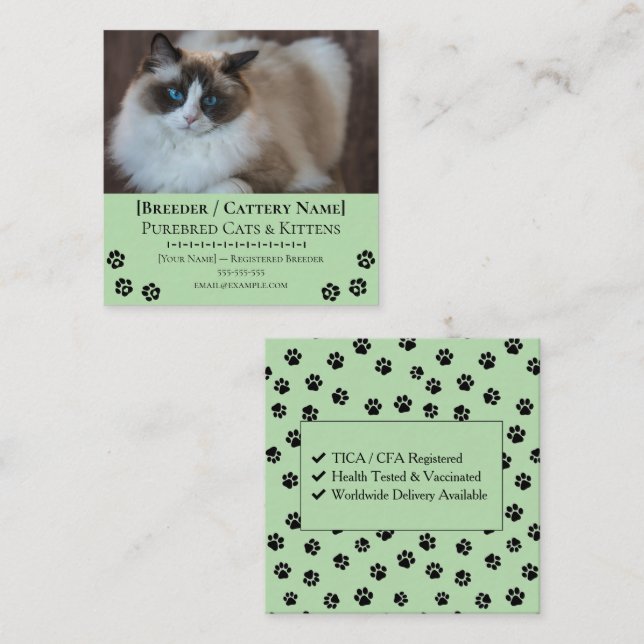 Ragdoll Cattery Customisable Cat Breeder  Square Business Card (Front/Back)