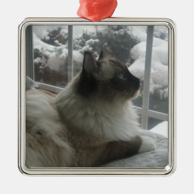 Ragdoll Himalayan Cat Christmas Snow Kitty Ornamen Metal Tree Decoration (Front)