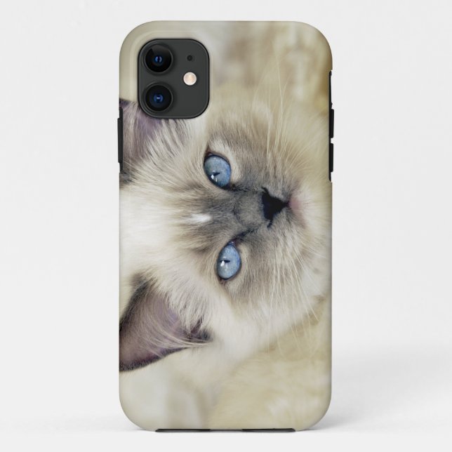 Ragdoll kitten Case-Mate iPhone case (Back)