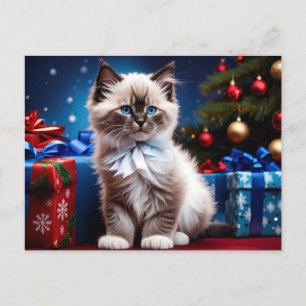 Ragdoll Kitten Christmas Present  Postcard