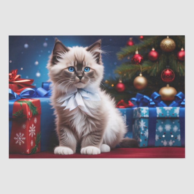 Ragdoll Kitten Christmas Present  Tissue Paper (Front)