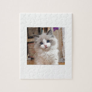 Ragdoll Kitten Cutie Jigsaw Puzzle