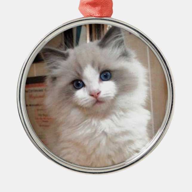 Ragdoll Kitten Cutie Metal Tree Decoration (Front)